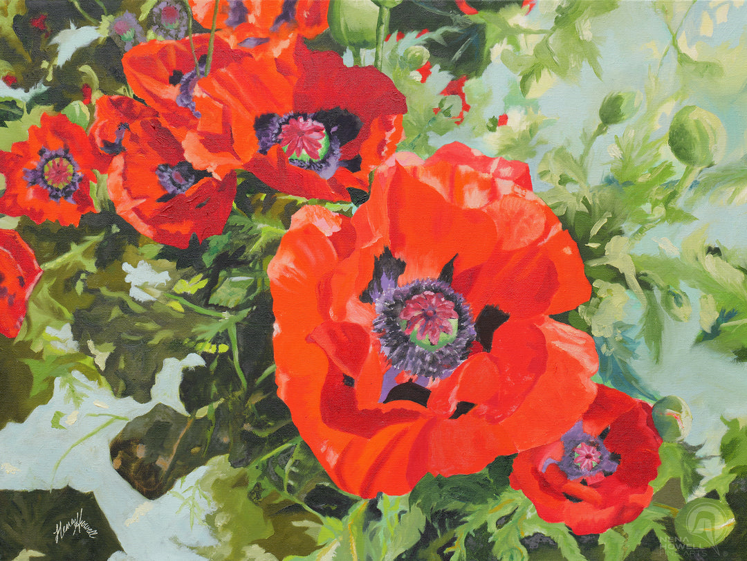 Flame Poppy captures the essence of a poppy field in mixed bloom by northwest artist, Nena Howell.
